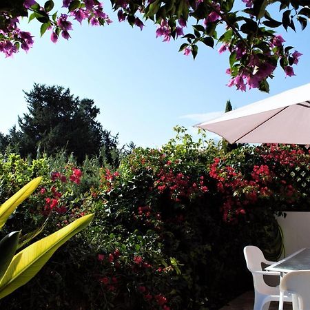 Townhouse In Paradise Gardens Pafos Dış mekan fotoğraf