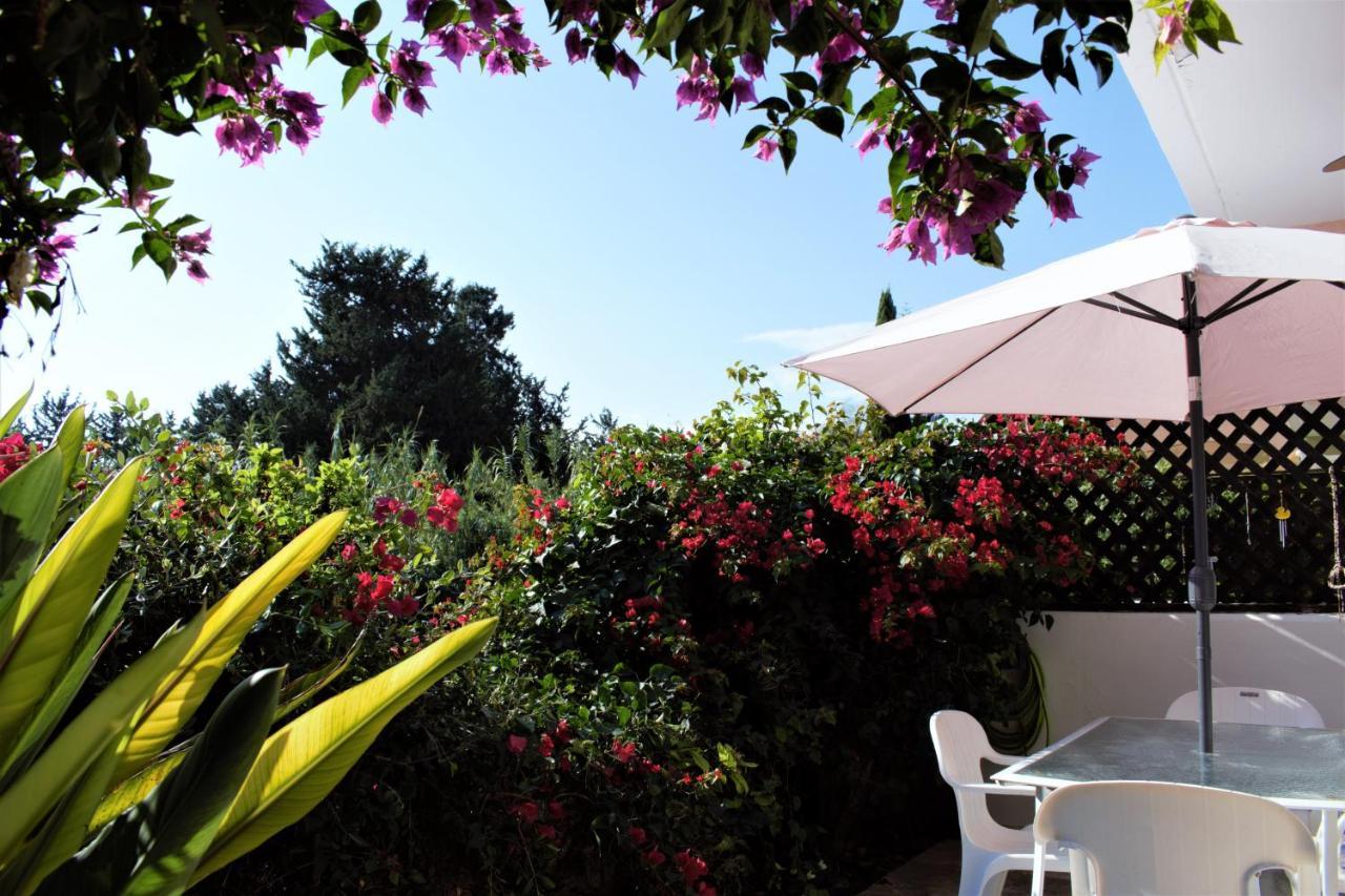 Townhouse In Paradise Gardens Pafos Dış mekan fotoğraf